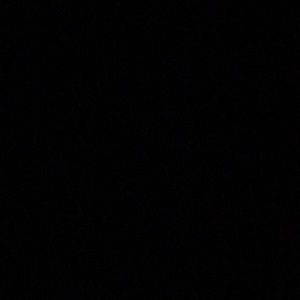 Meet your Posher, Bertha